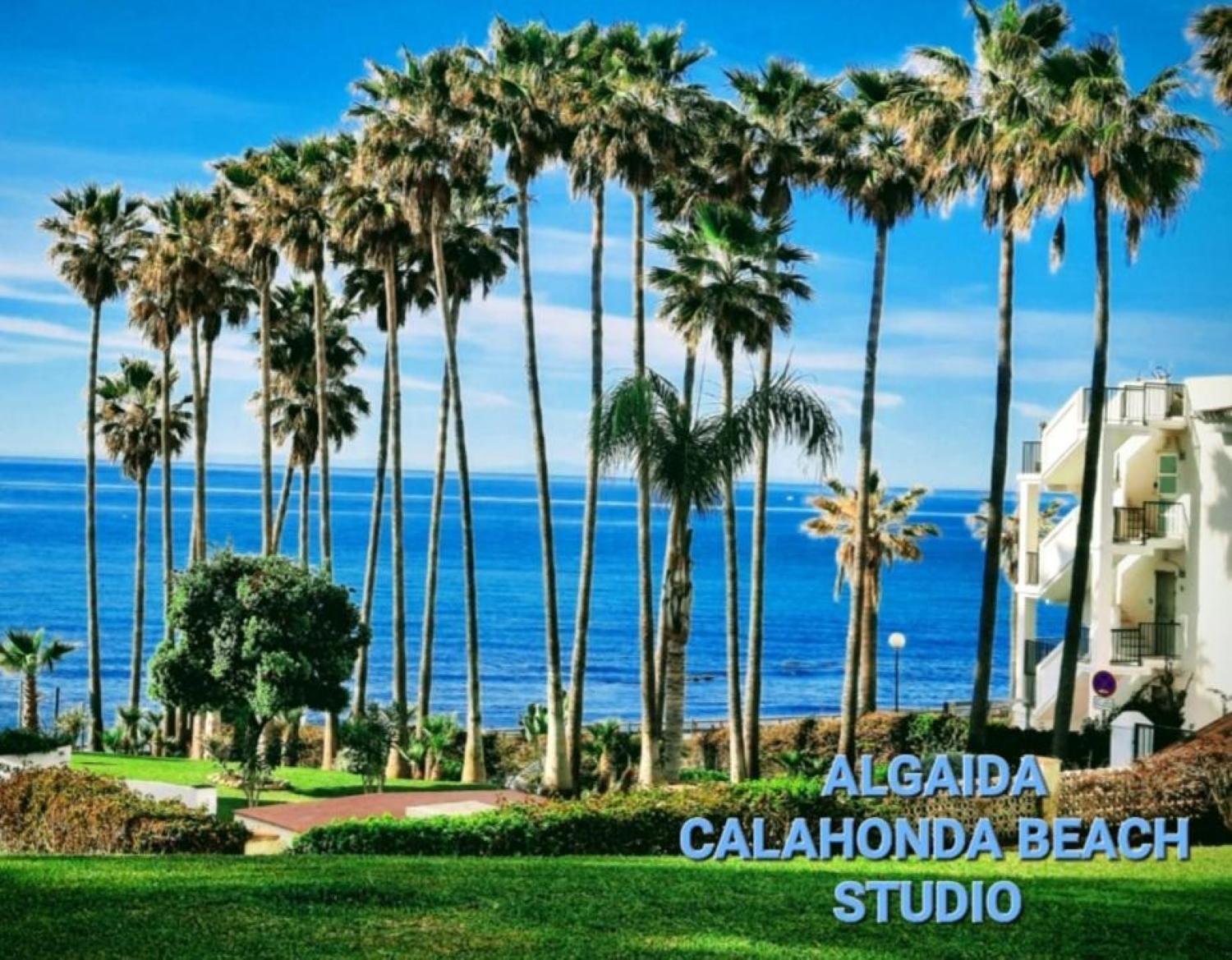 Nuevo! Algaida Calahonda Beach Studio Sitio de Calahonda Exteriör bild